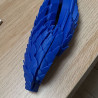 Imagem 3